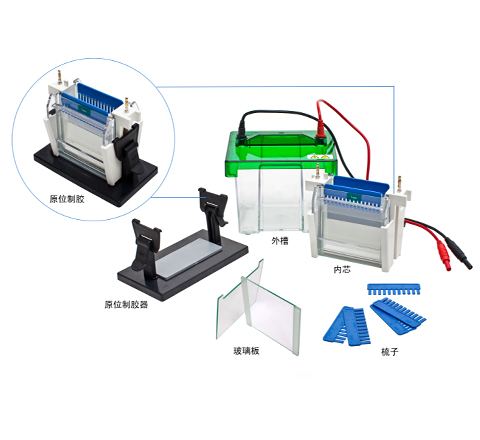 垂直電泳槽JY-SCZ2+型