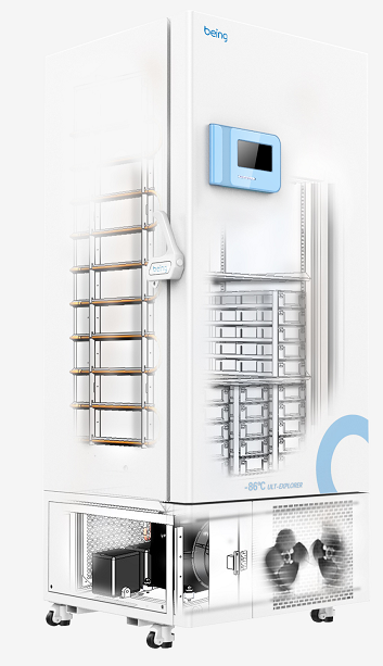 低溫保存箱-86度BDW-86L650型